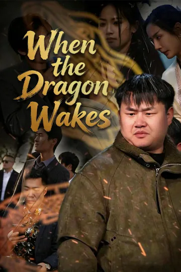 When the Dragon Wakes poster