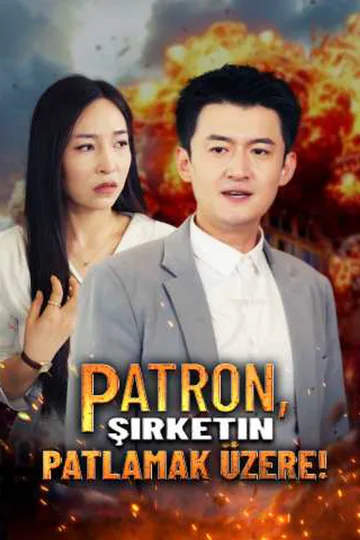Patron, Şirketin Patlamak Üzere! afişi
