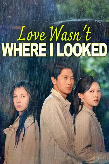 Love Wasn't Where I Looked poster
