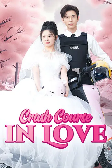 Crash Course in Love poster