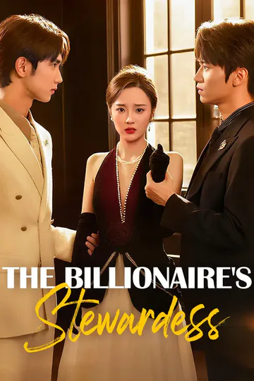 The Billionaire's Stewardess poster