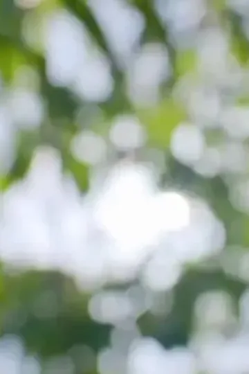 Gizli kılıç ustası afişi