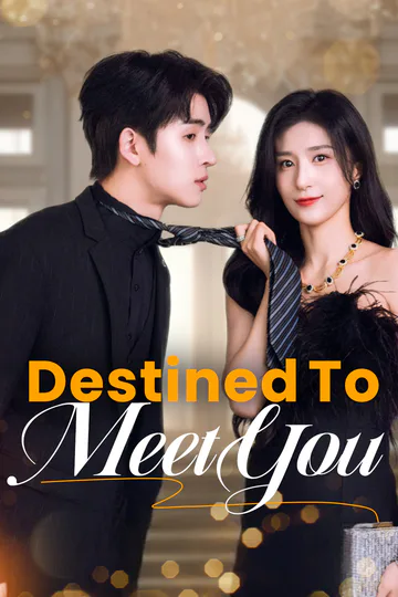 Destined to Meet You(Dubbed) poster
