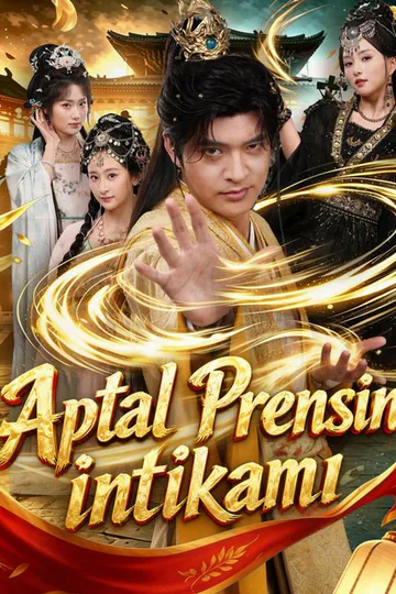 Aptal prensin intikamı afişi