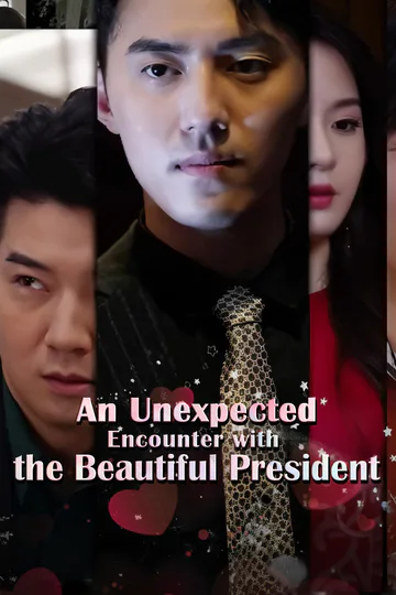 An Unexpected Encounter with the Beautiful President poster