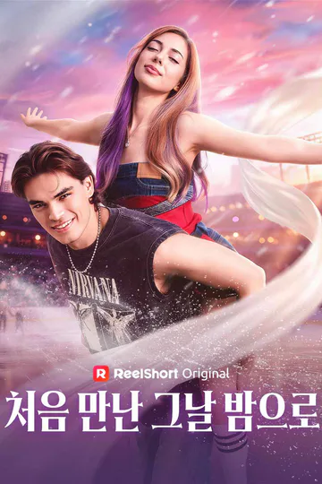 처음 만난 그날 밤으로 포스터