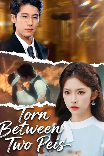Torn Between Two Peis poster