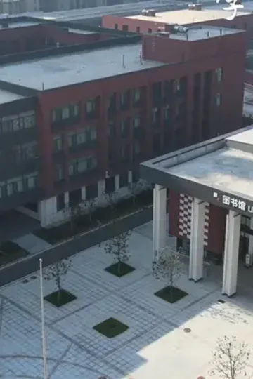 Patronumun ilacı afişi