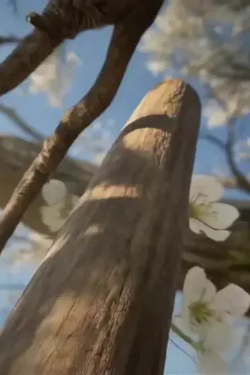 Eski ajan Şen Ay evin reisi afişi