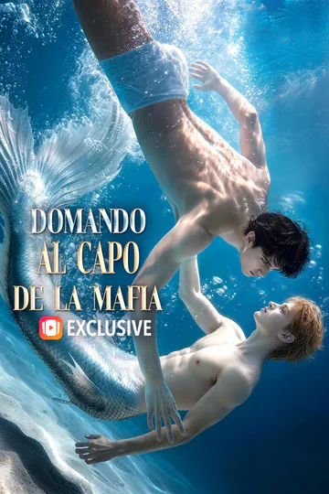 Póster de Domando al Capo de la Mafia