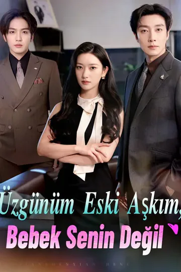 Üzgünüm Eski Aşkım, Bebek Senin Değil afişi