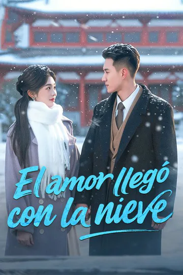 Póster de El amor llegó con la nieve (Doblado)