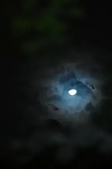 Babam, Kuzey Muhafızı Kralı afişi