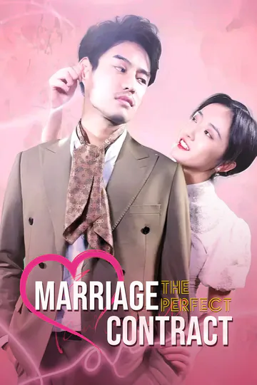 The Perfect Marriage Contract poster