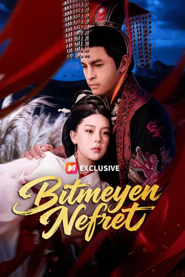 Bitmeyen Nefret afişi