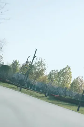 Hanım Suna: Babası Onu Korur afişi