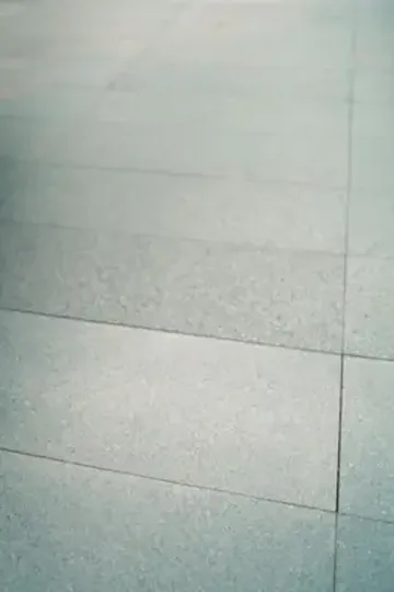 Gizli zengin patron afişi