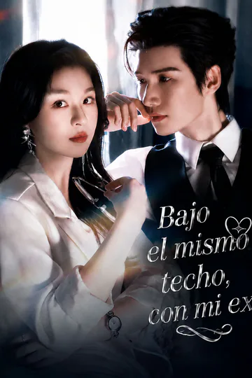 Póster de Bajo el mismo techo, con mi ex
