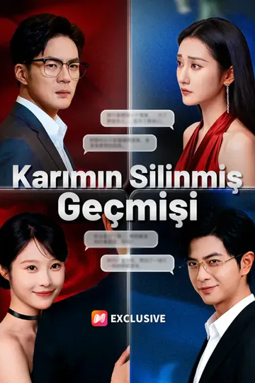 Karımın Silinmiş Geçmişi afişi
