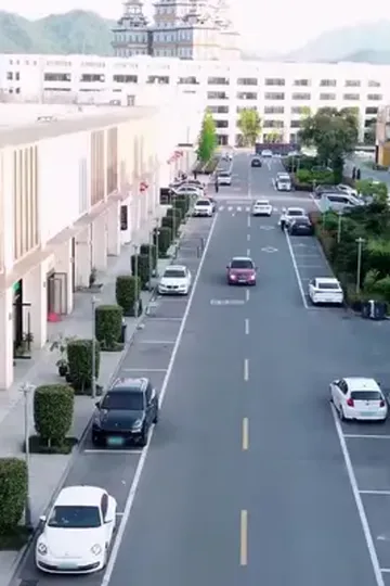 Yasak Aşkın Peşinde afişi