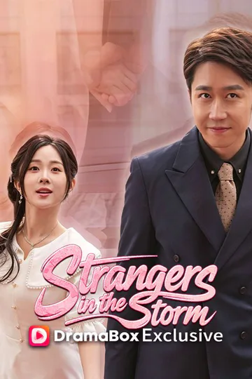 Strangers in the Storm poster