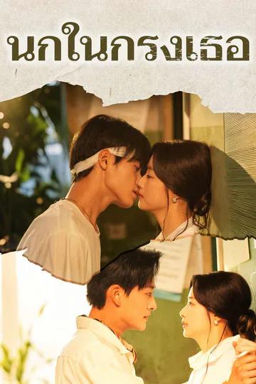 โปสเตอร์ นกในกรงเธอ