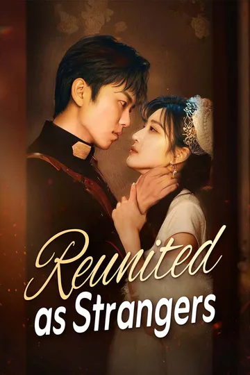 Reunited as Strangers poster