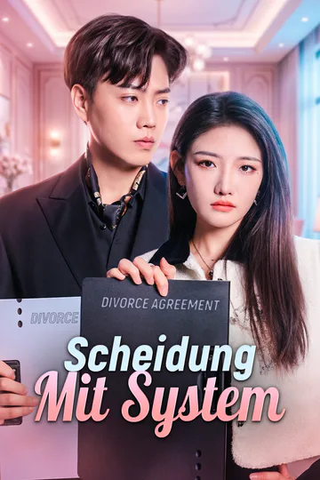 Poster von Scheidung mit System