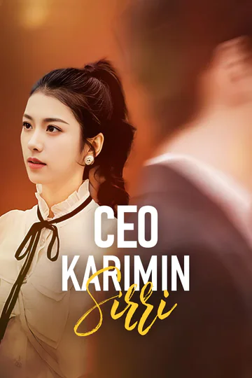 CEO Karımın Sırrı afişi