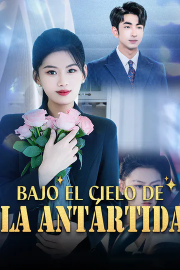 Póster de Bajo el cielo de la Antártida