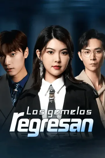 Póster de Los gemelos regresan
