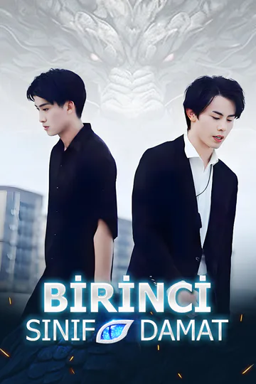 Birinci Sınıf Damat afişi