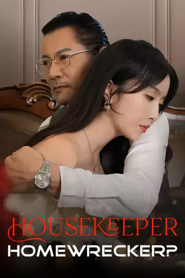 Póster de Housekeeper, Homewrecker?