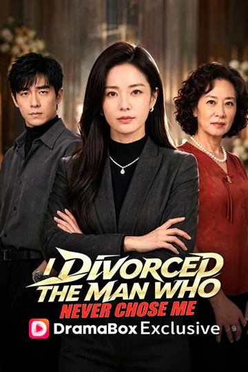 I Divorced the Man Who Never Chose Me poster