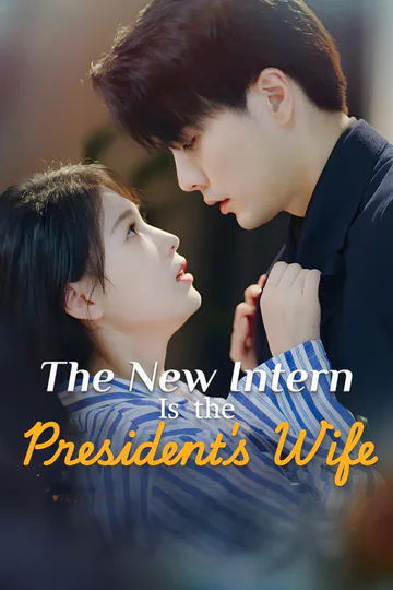 The New Intern Is the President's Wife poster