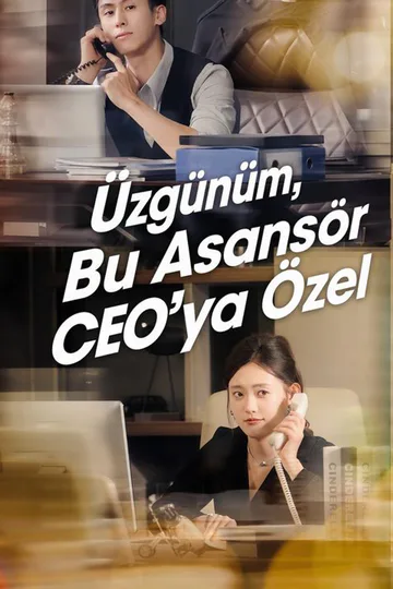 Üzgünüm, Bu Asansör CEO'ya Özel afişi