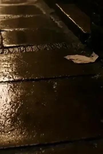 Alfa, kurtu olmayan güçlü kıza aşık afişi