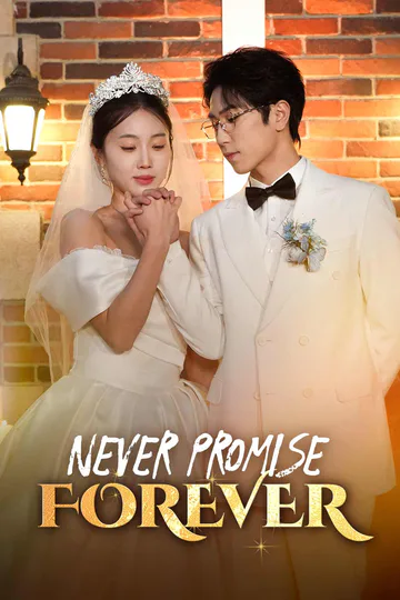 Never Promise Forever poster