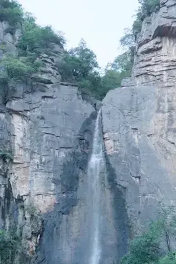 Ölümsüz Ninem Canlı Yayında afişi
