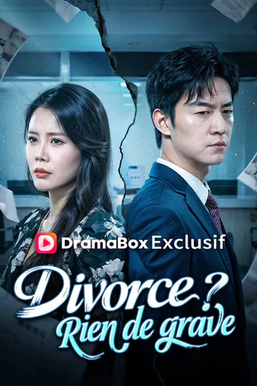 Affiche de Divorce ? Rien de grave