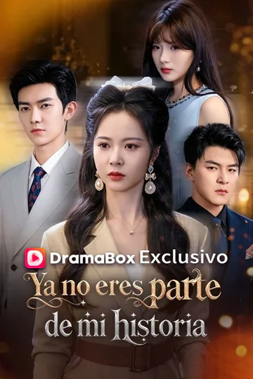 Póster de Ya no eres parte de mi historia