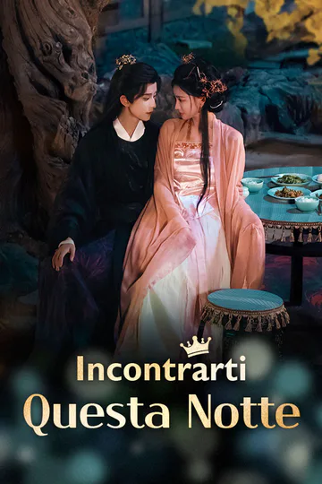 Locandina di Incontrarti Questa Notte