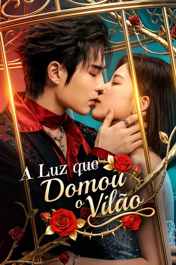Pôster de A Luz que Domou o Vilão(Dublado)