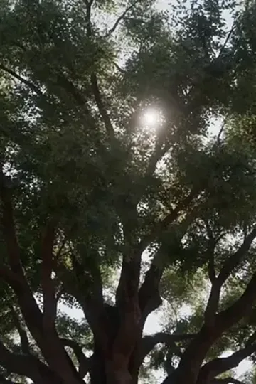 Sınırdaki zaman yolcusu asker afişi