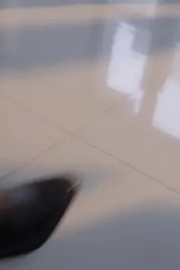 Kızdırmayın: Gerçek Mirasçı Kız afişi