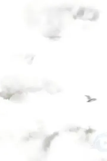 Gücün zirvesi afişi