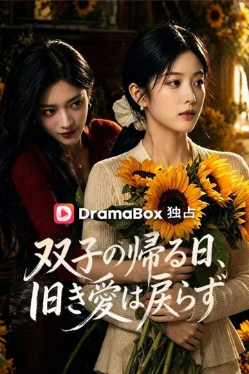 双子の帰る日、旧き愛は戻らず（吹き替え）のポスター