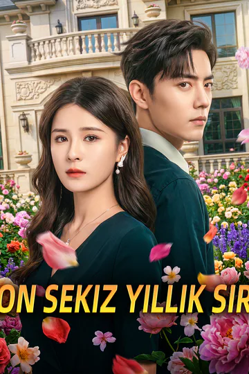 On Sekiz Yıllık Sır afişi