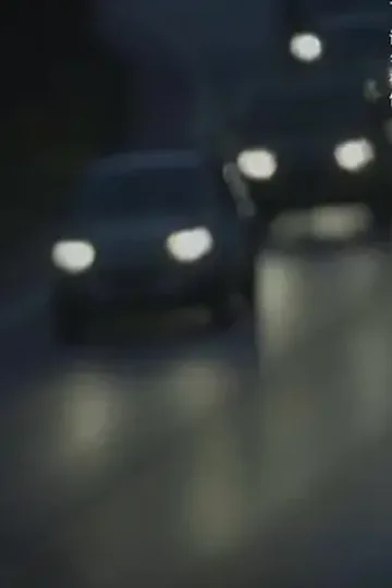 Kutsal Kralın Dönüşü afişi