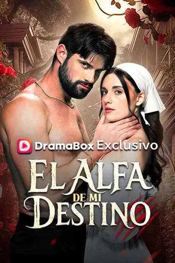 Póster de El Alfa de Mi Destino